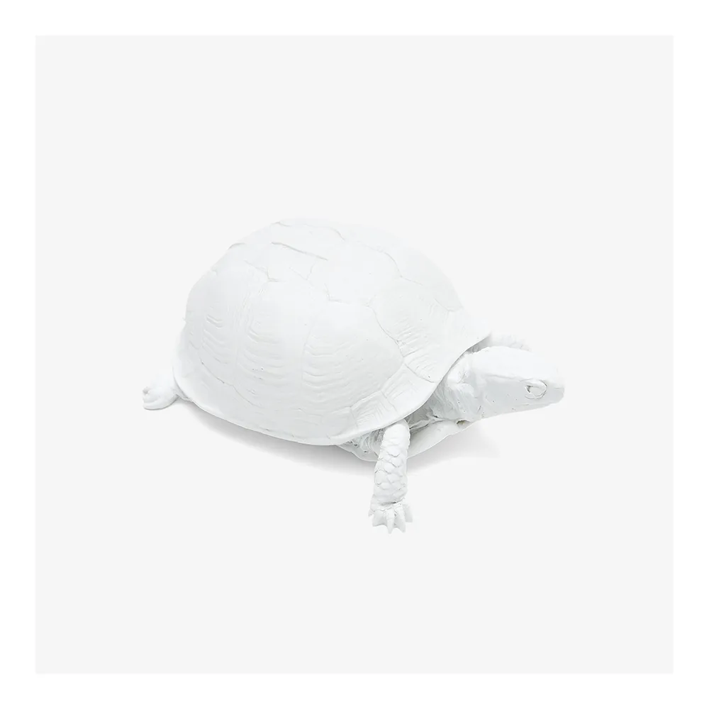 AREAWARE Turtle Box - White
