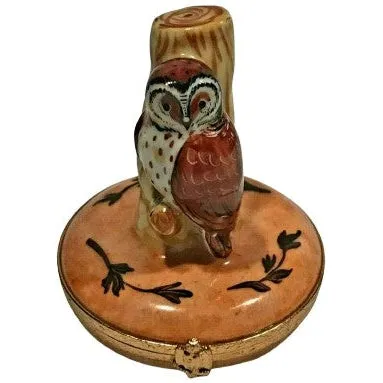 Barn Owl
