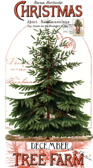 Classic Christmas, Christmas Botanical Main PANEL