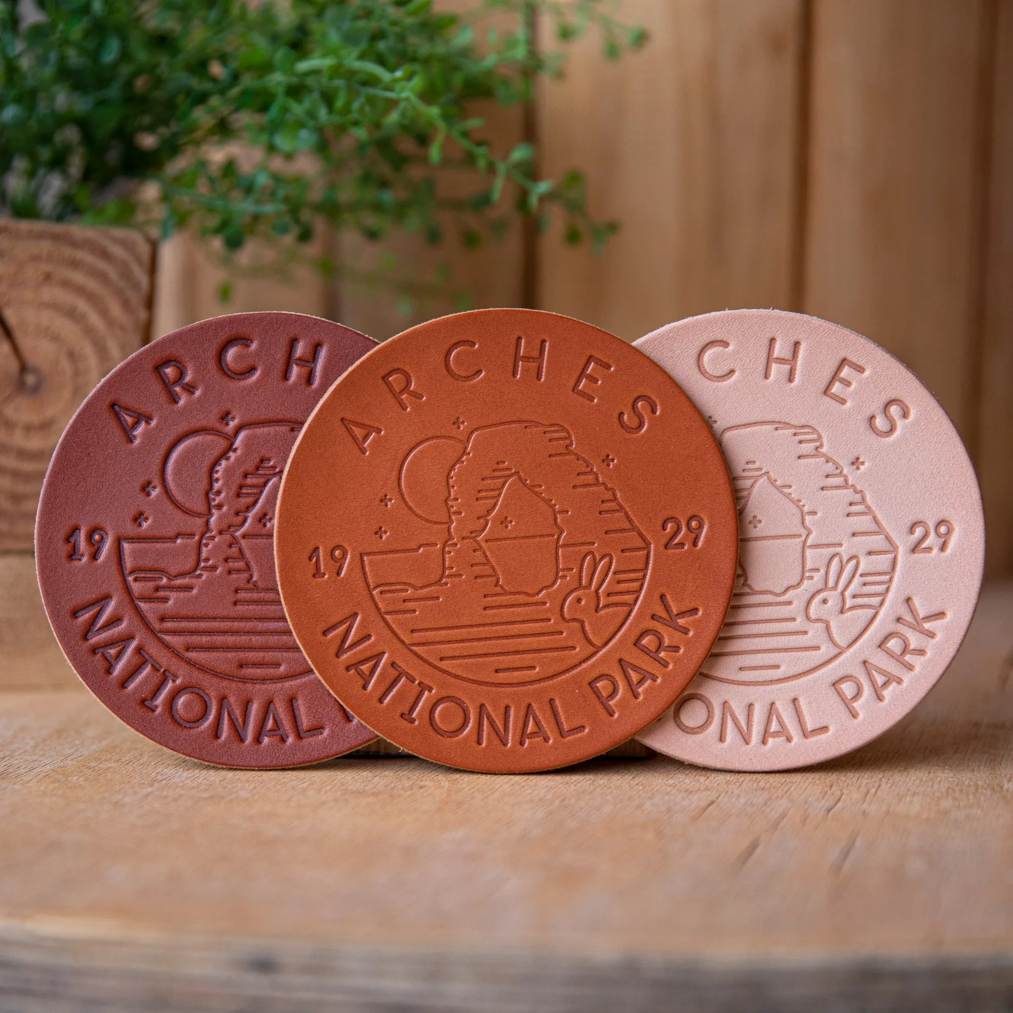 Coasters - Arches National Park