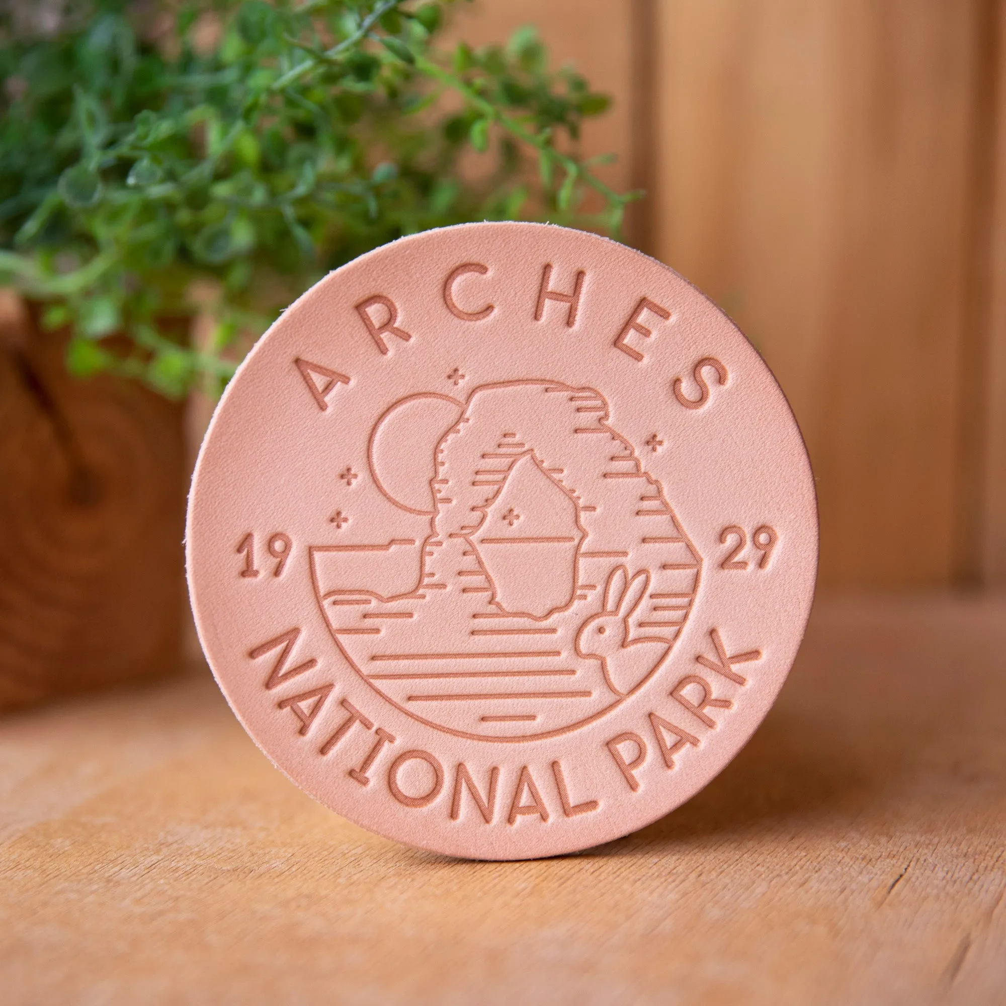 Coasters - Arches National Park