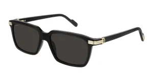 CT0220S-001