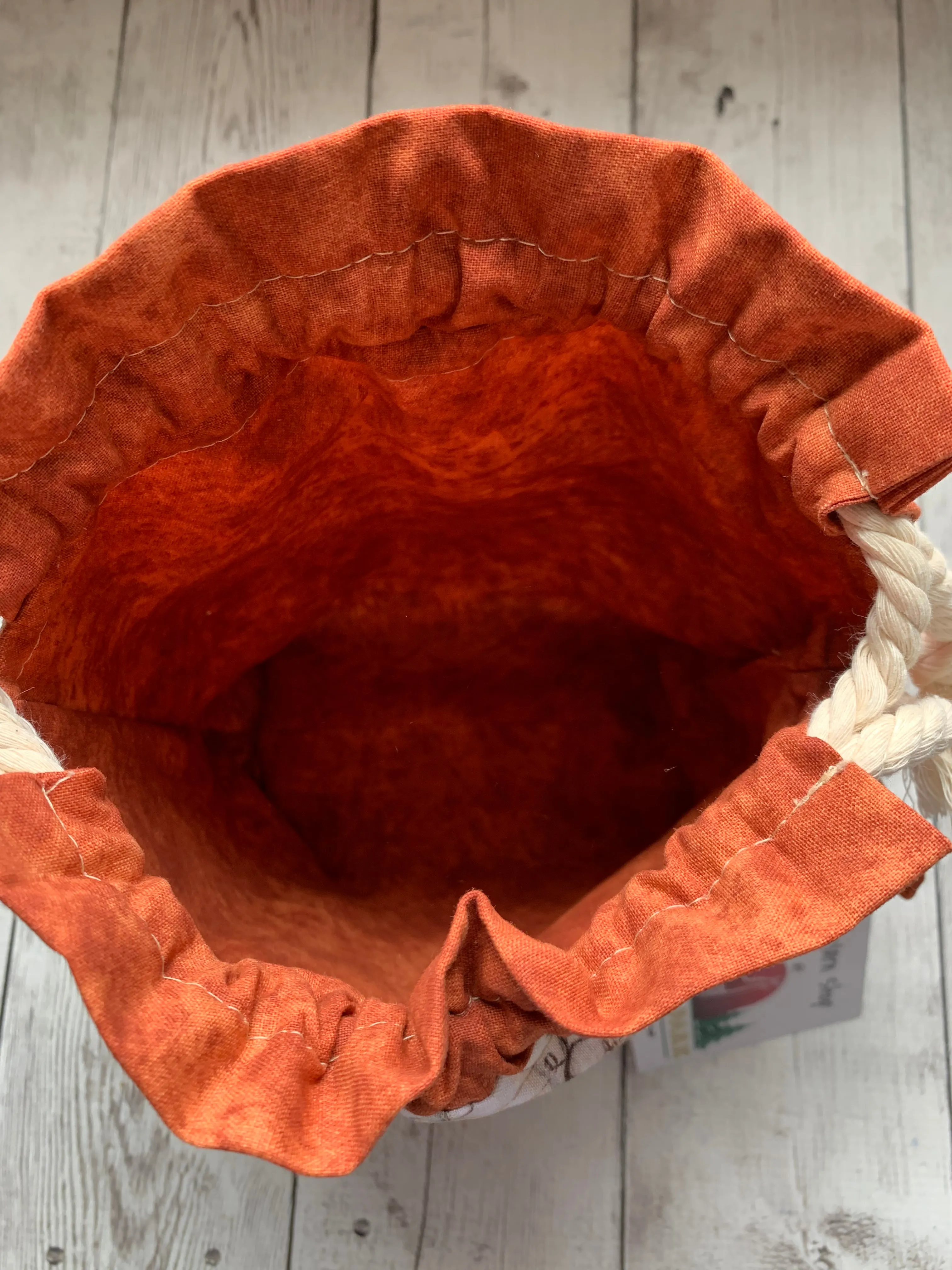 Drawstring Project Bag by Rose (MEDIUM) - Pumpkin Patch with Burnt Orange