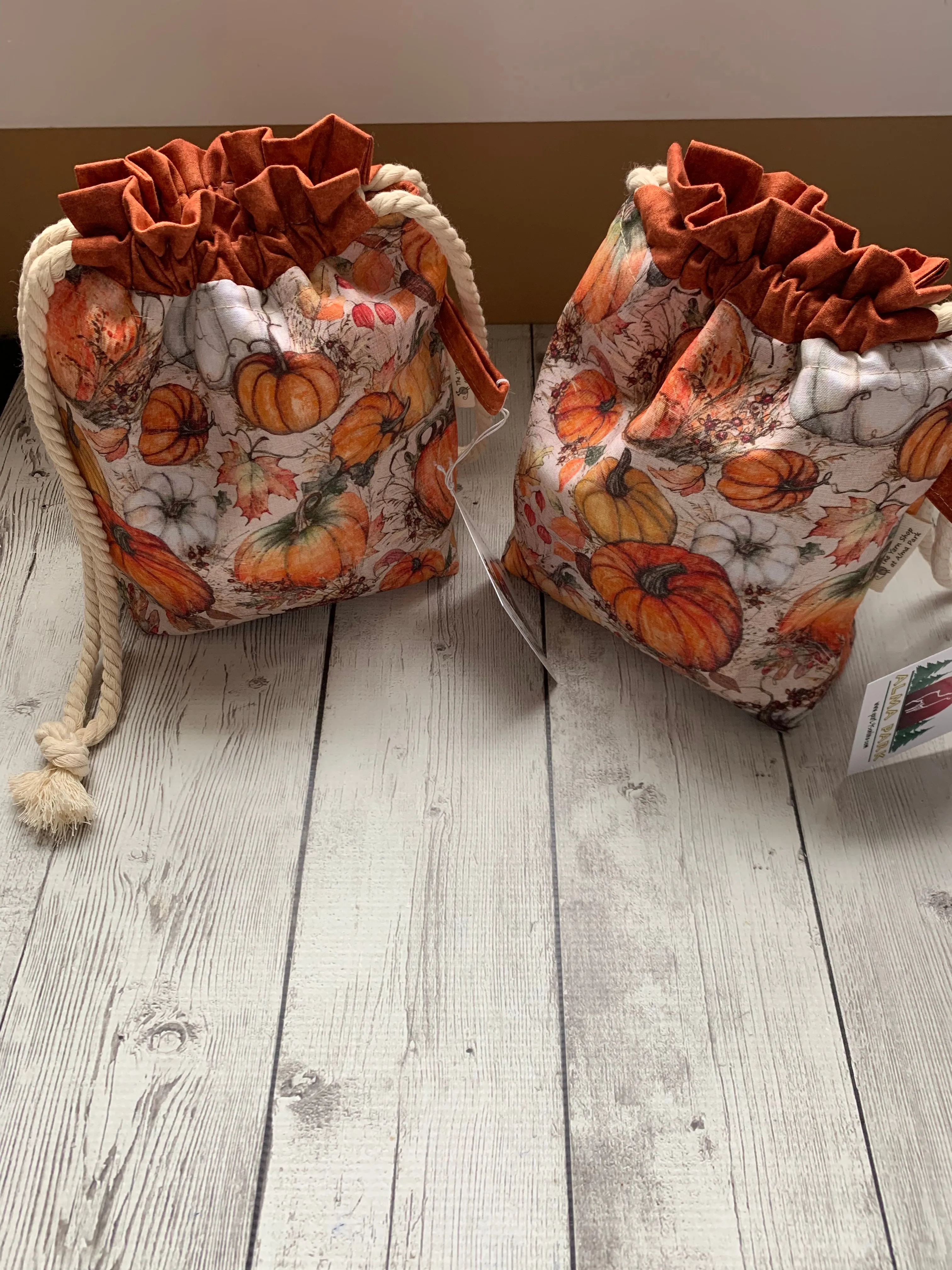 Drawstring Project Bag by Rose (MEDIUM) - Pumpkin Patch with Burnt Orange
