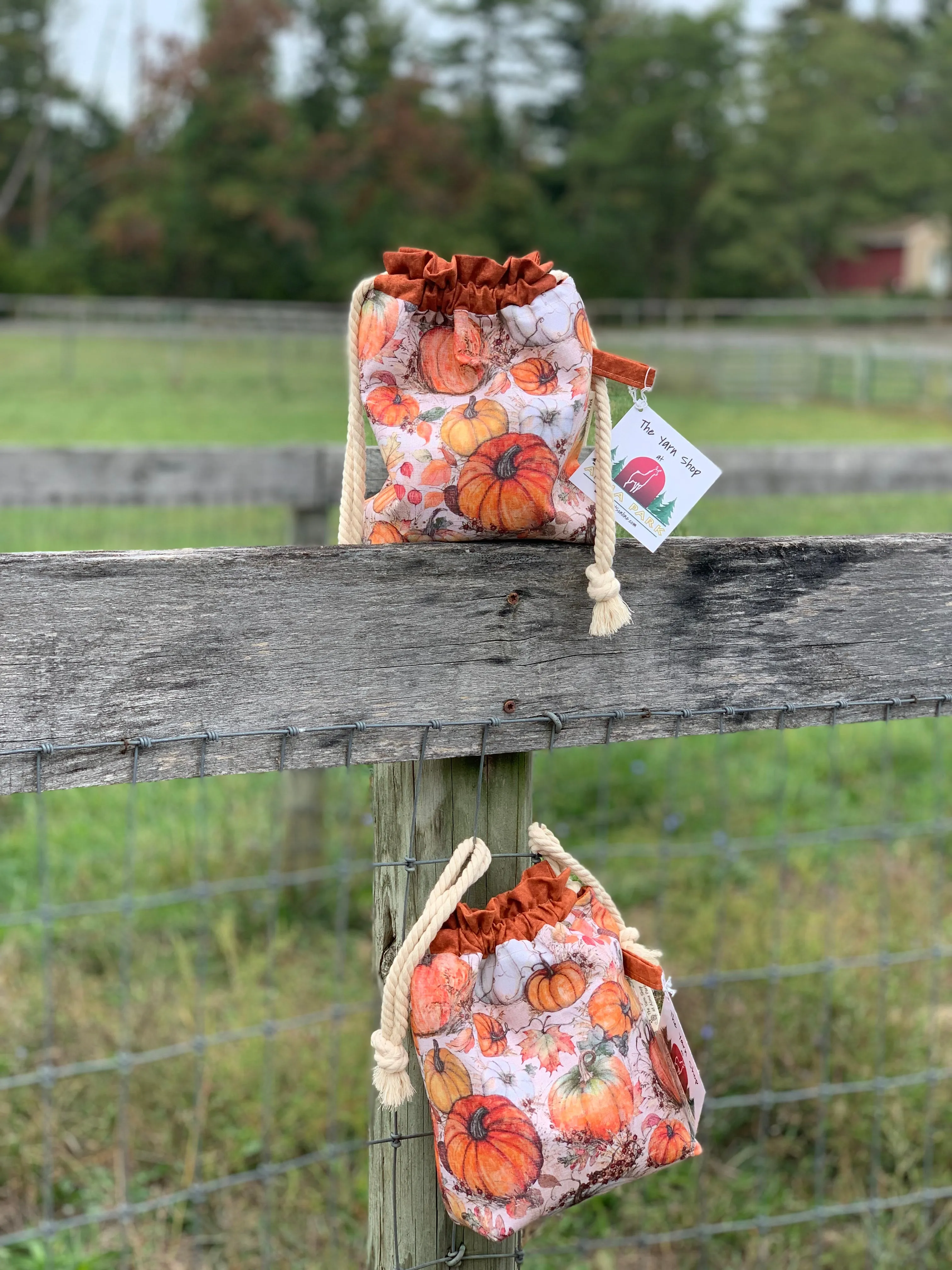 Drawstring Project Bag by Rose (MEDIUM) - Pumpkin Patch with Burnt Orange