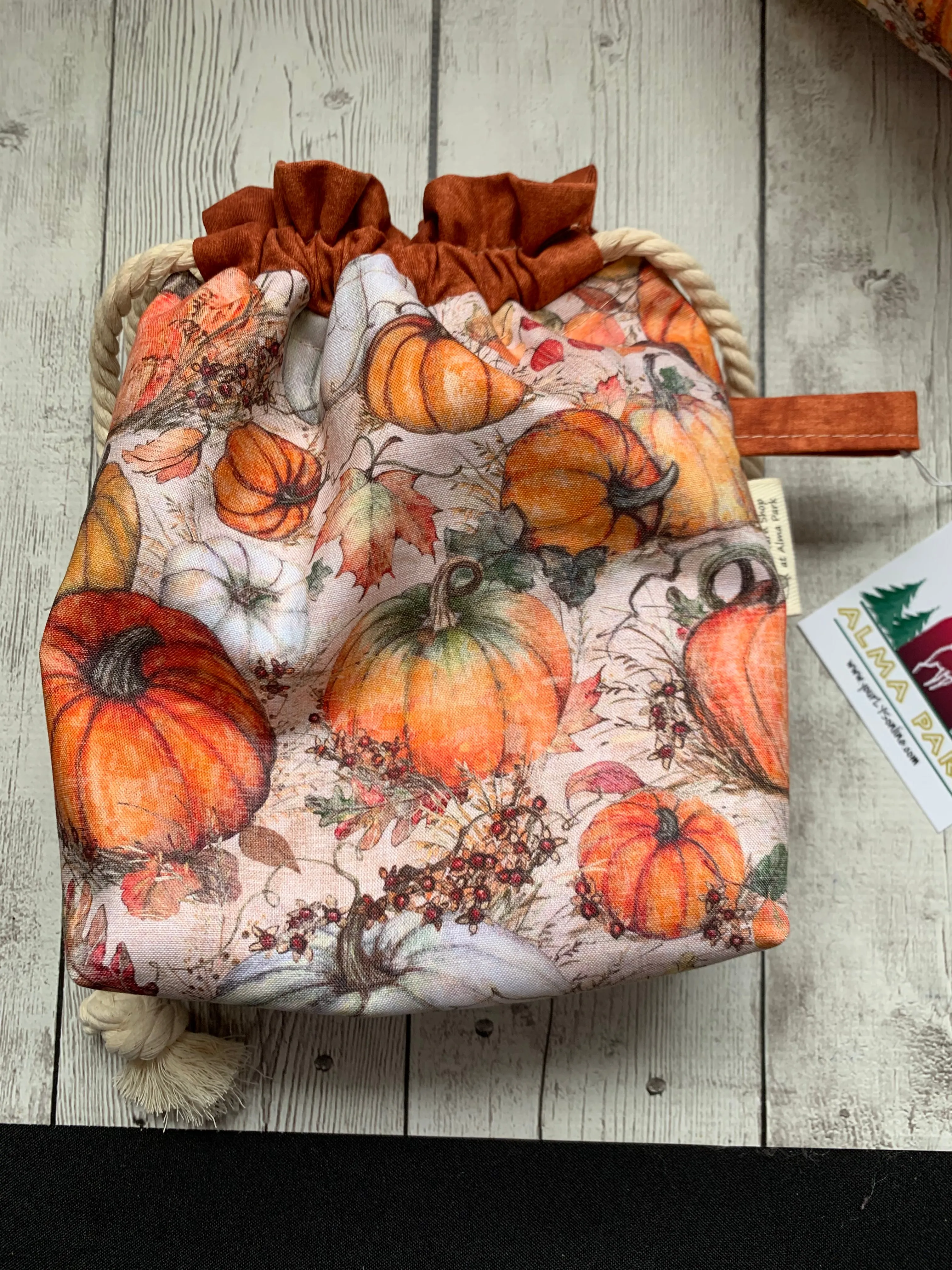 Drawstring Project Bag by Rose (MEDIUM) - Pumpkin Patch with Burnt Orange