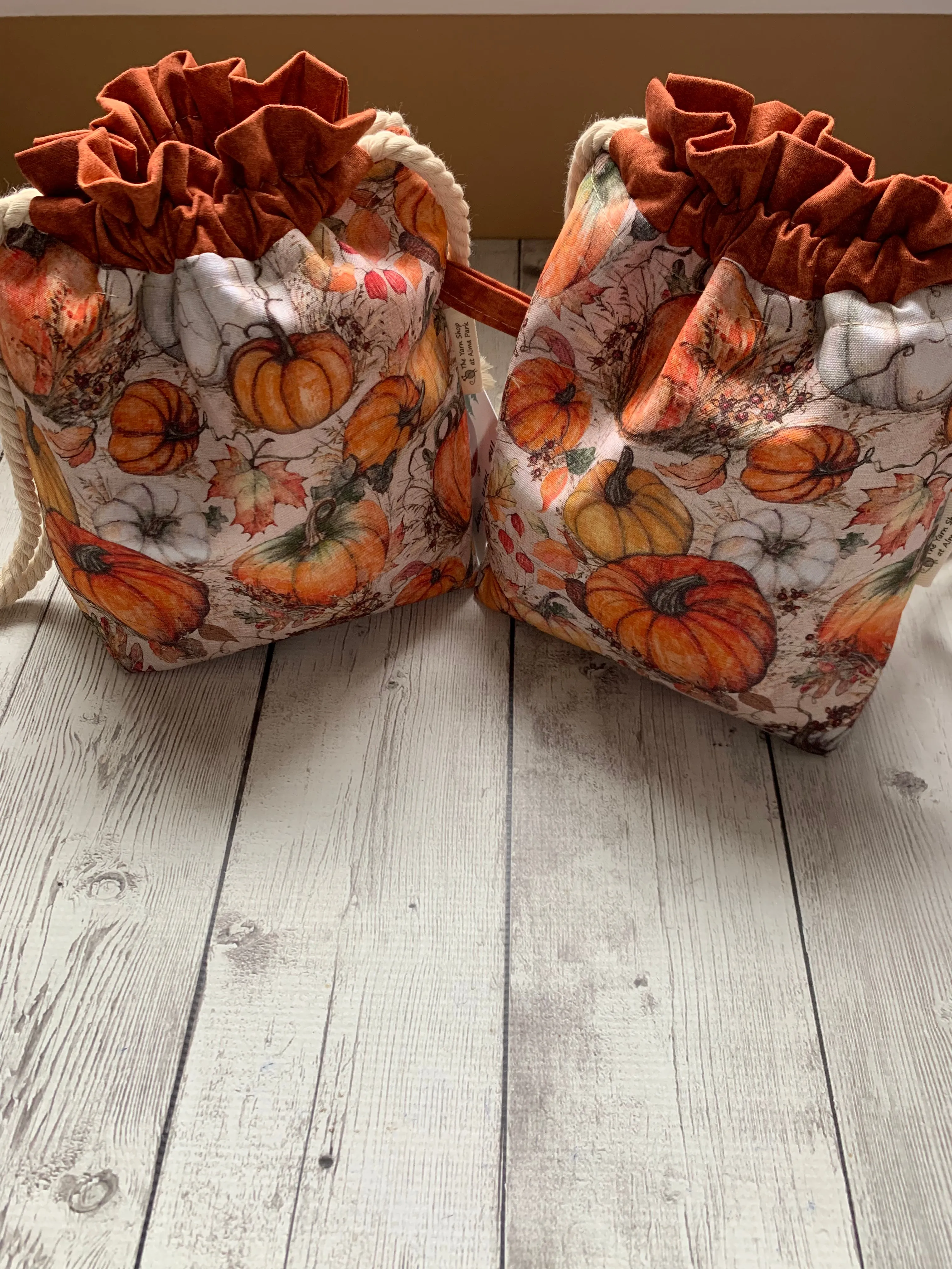 Drawstring Project Bag by Rose (MEDIUM) - Pumpkin Patch with Burnt Orange