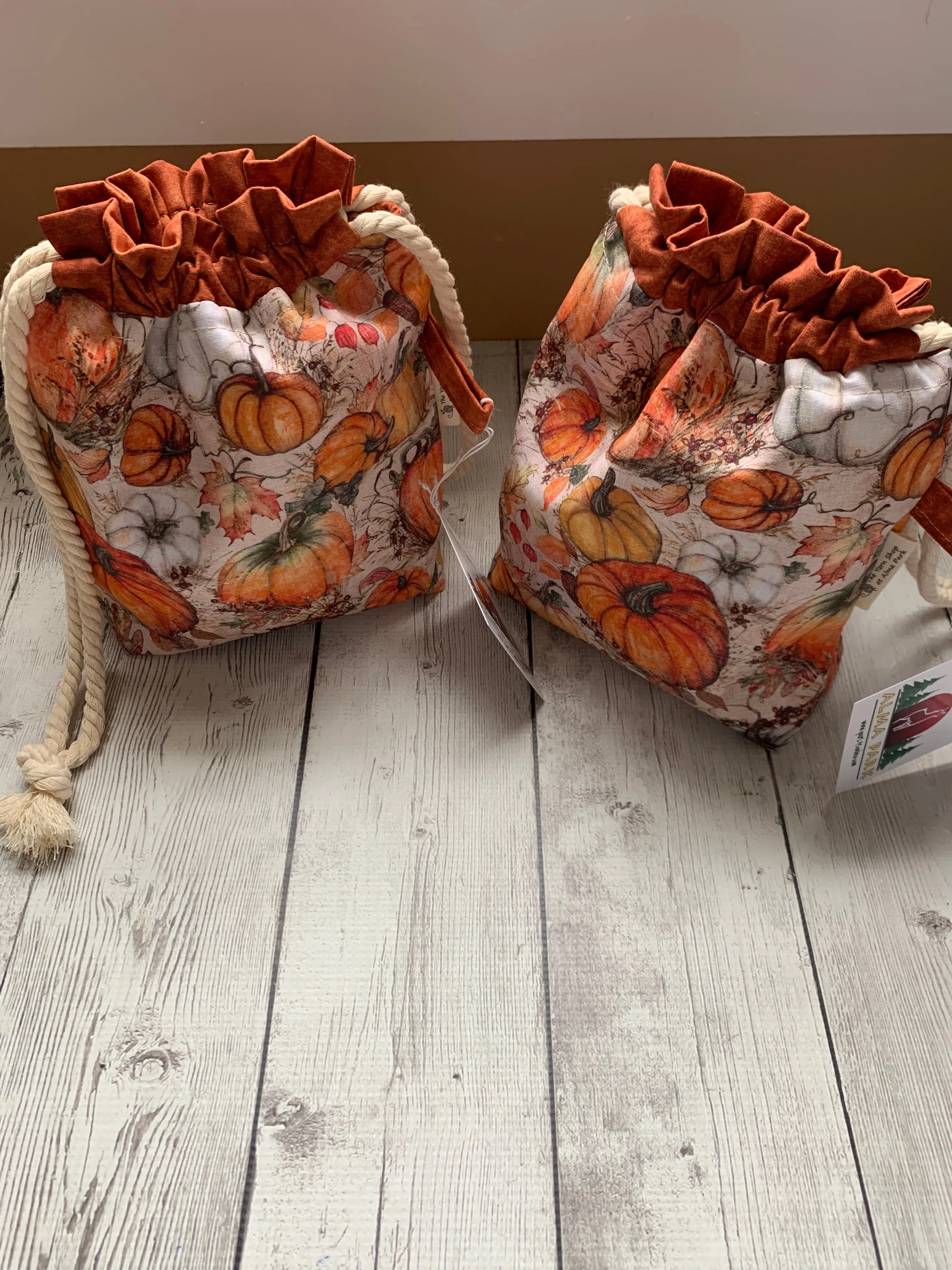 Drawstring Project Bag by Rose (MEDIUM) - Pumpkin Patch with Burnt Orange