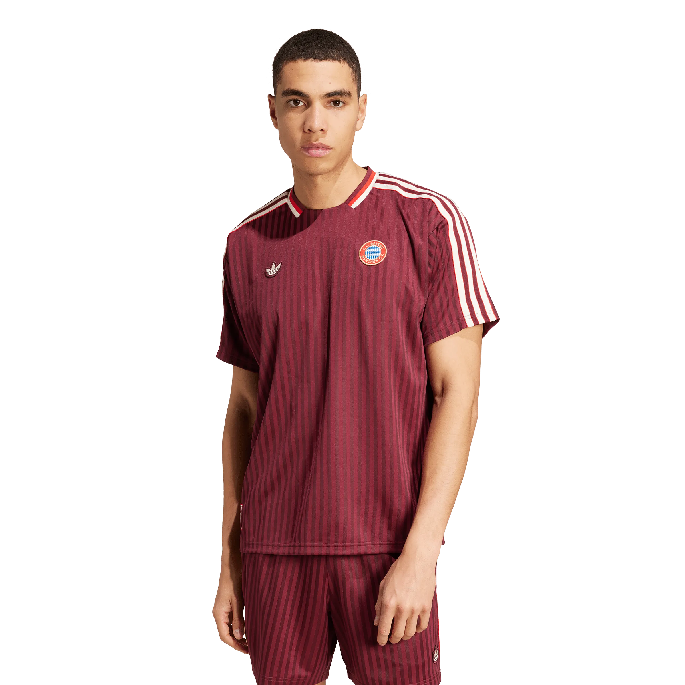FC Bayern Terrace Icons Jersey (JF0595)