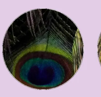 Feather Eyes Series Handmade Glass Cabochons Pattern Domed   necklaces earrings phase box key chain for Jewelry