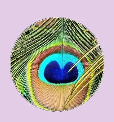 Feather Eyes Series Handmade Glass Cabochons Pattern Domed   necklaces earrings phase box key chain for Jewelry