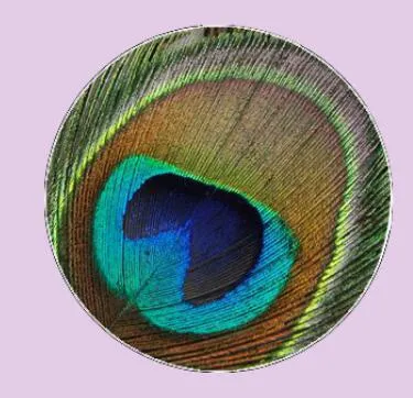 Feather Eyes Series Handmade Glass Cabochons Pattern Domed   necklaces earrings phase box key chain for Jewelry