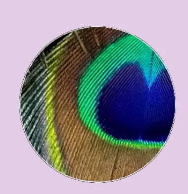 Feather Eyes Series Handmade Glass Cabochons Pattern Domed   necklaces earrings phase box key chain for Jewelry