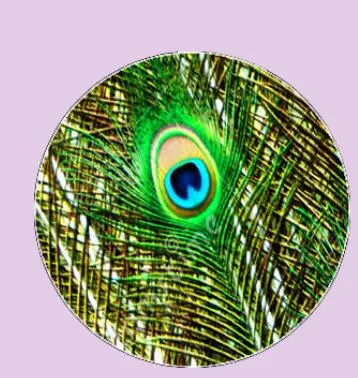 Feather Eyes Series Handmade Glass Cabochons Pattern Domed   necklaces earrings phase box key chain for Jewelry