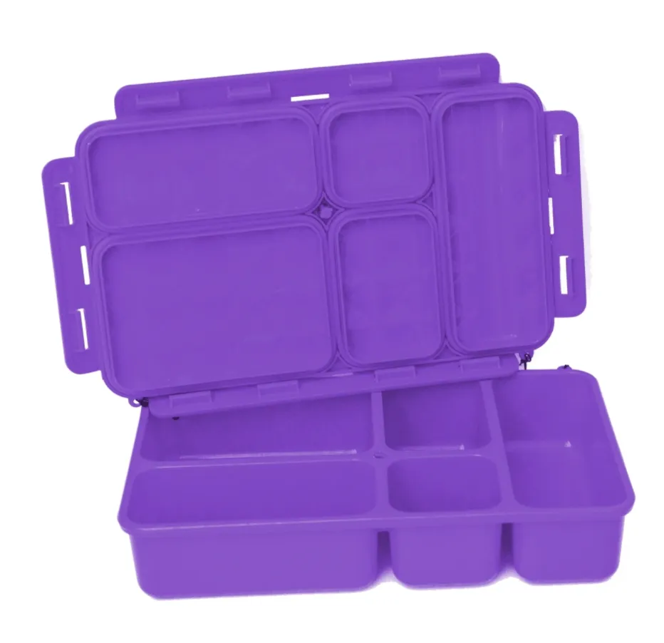 Go Green 5-Compartment Leak-Proof Food Box - Large