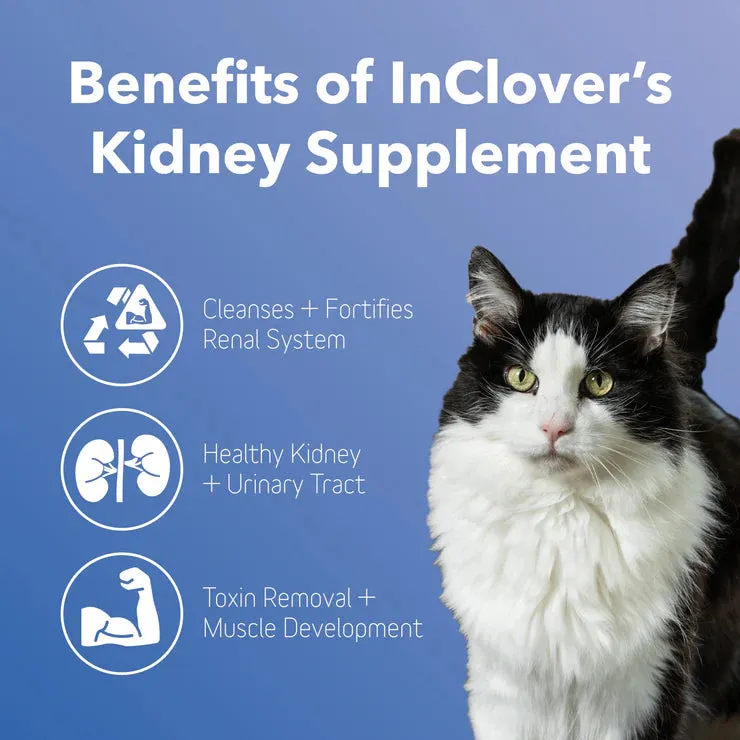 InClover Kidney Supplement for Dogs   Cats (BioRen)