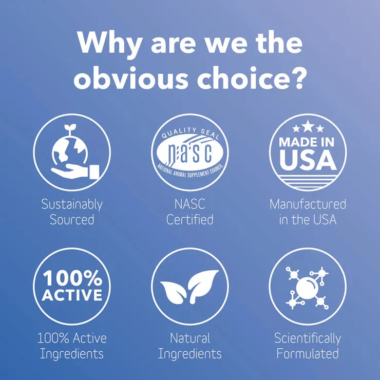 InClover Kidney Supplement for Dogs   Cats (BioRen)