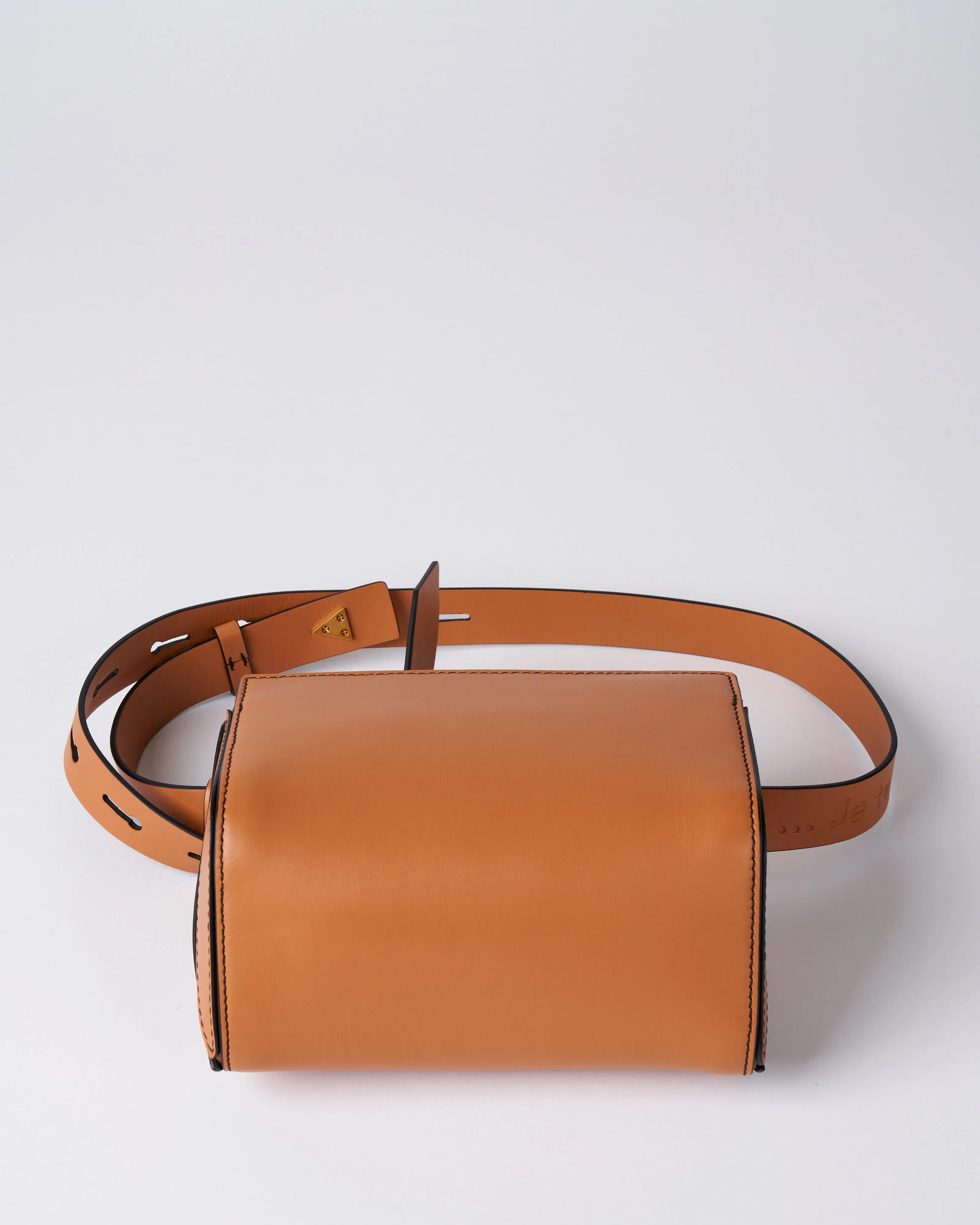 le sac ceinture classic - champagne pop