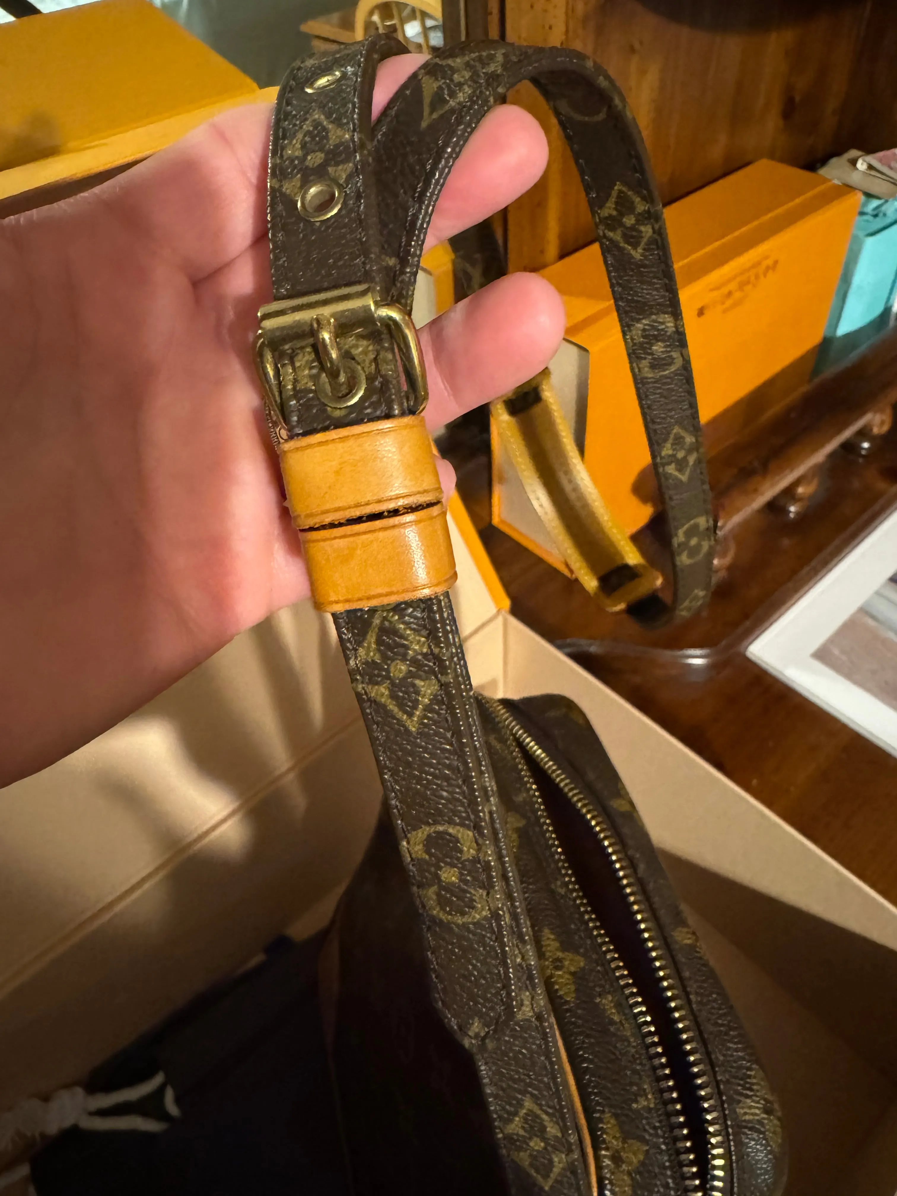 LV Vintage Amazone Crossbody Bag