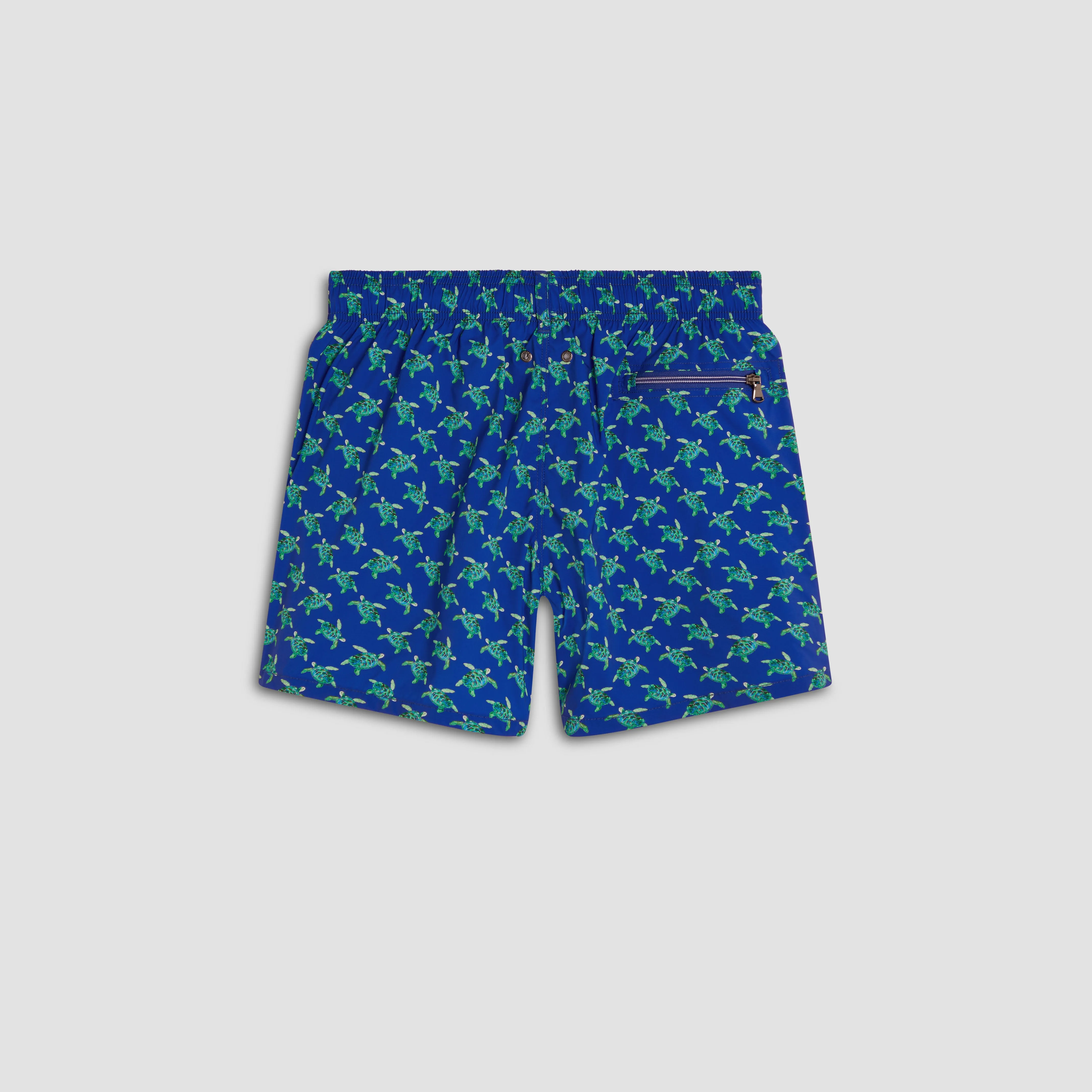 Max Sea Turtles Swim Trunks