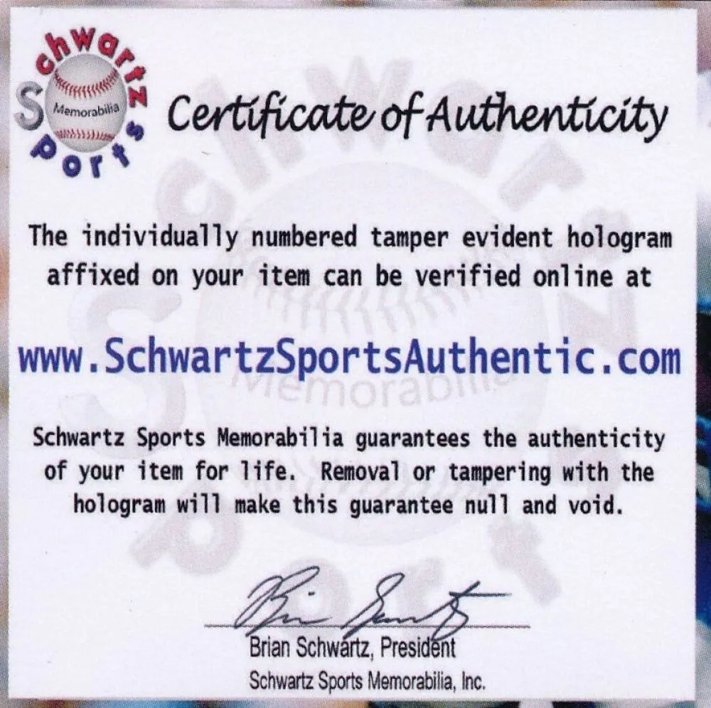 Nikola Mirotic Signed Team Spain Jersey (Schwartz COA) Bulls & Pelicans Forward