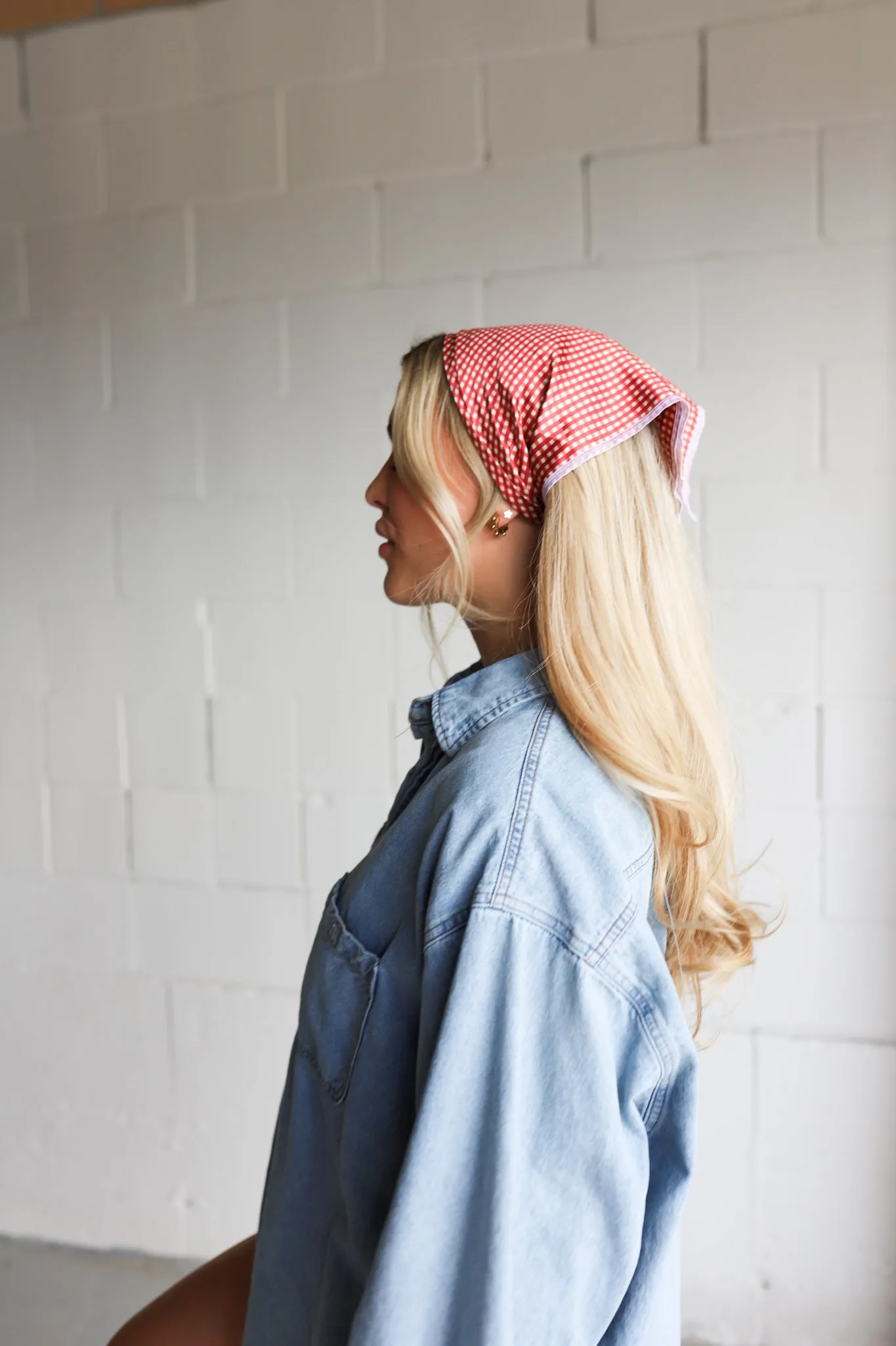RED PLAID BANDANA