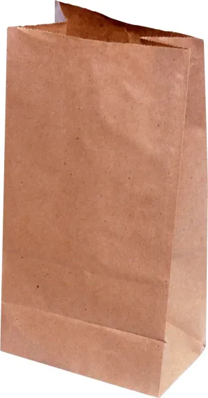 RiteEarth - 10 Lbs Plain Kraft Paper Bag, Pack of 500, 2Bn/Case (1000/Case) - PB100K