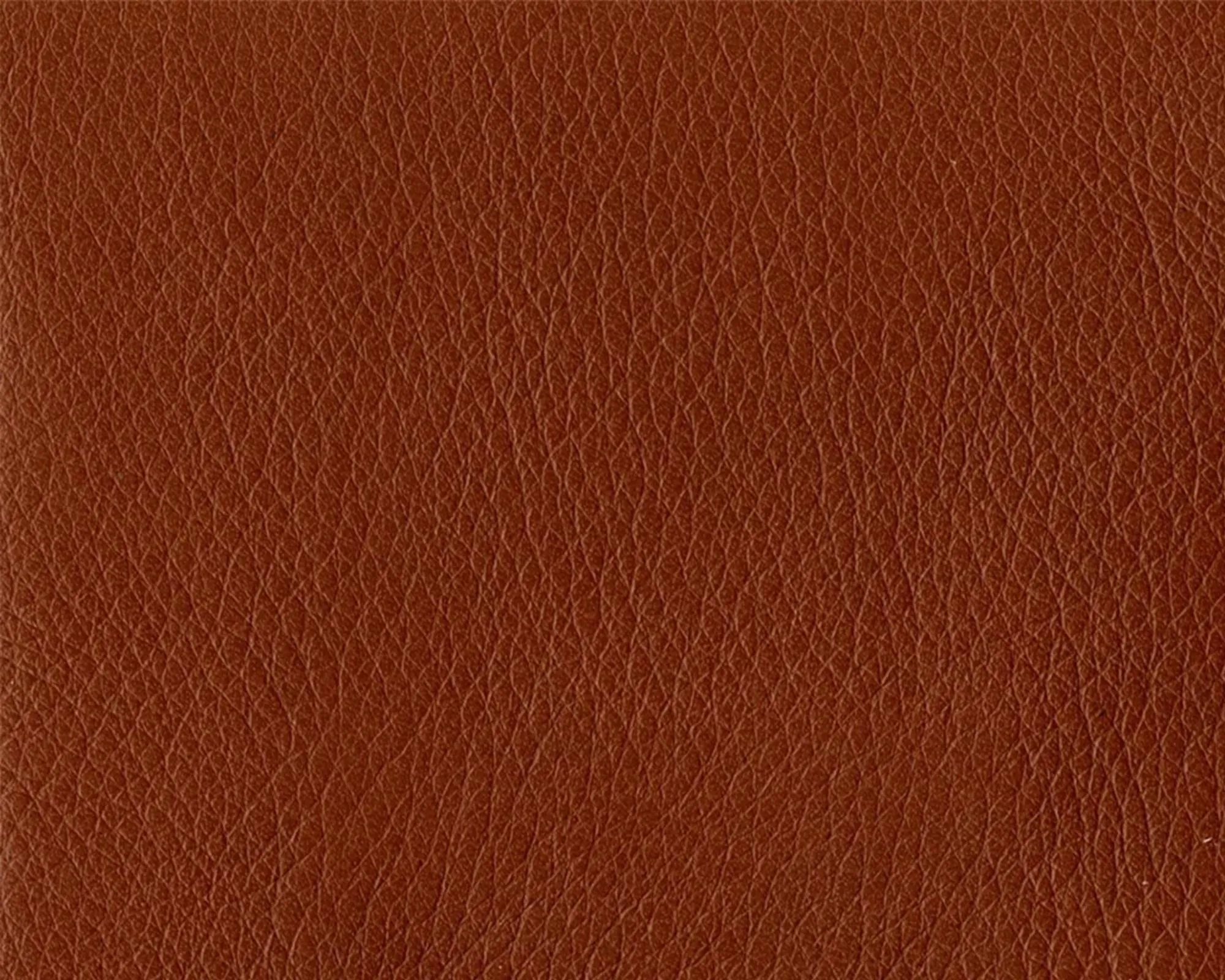 Sif Leather - 92