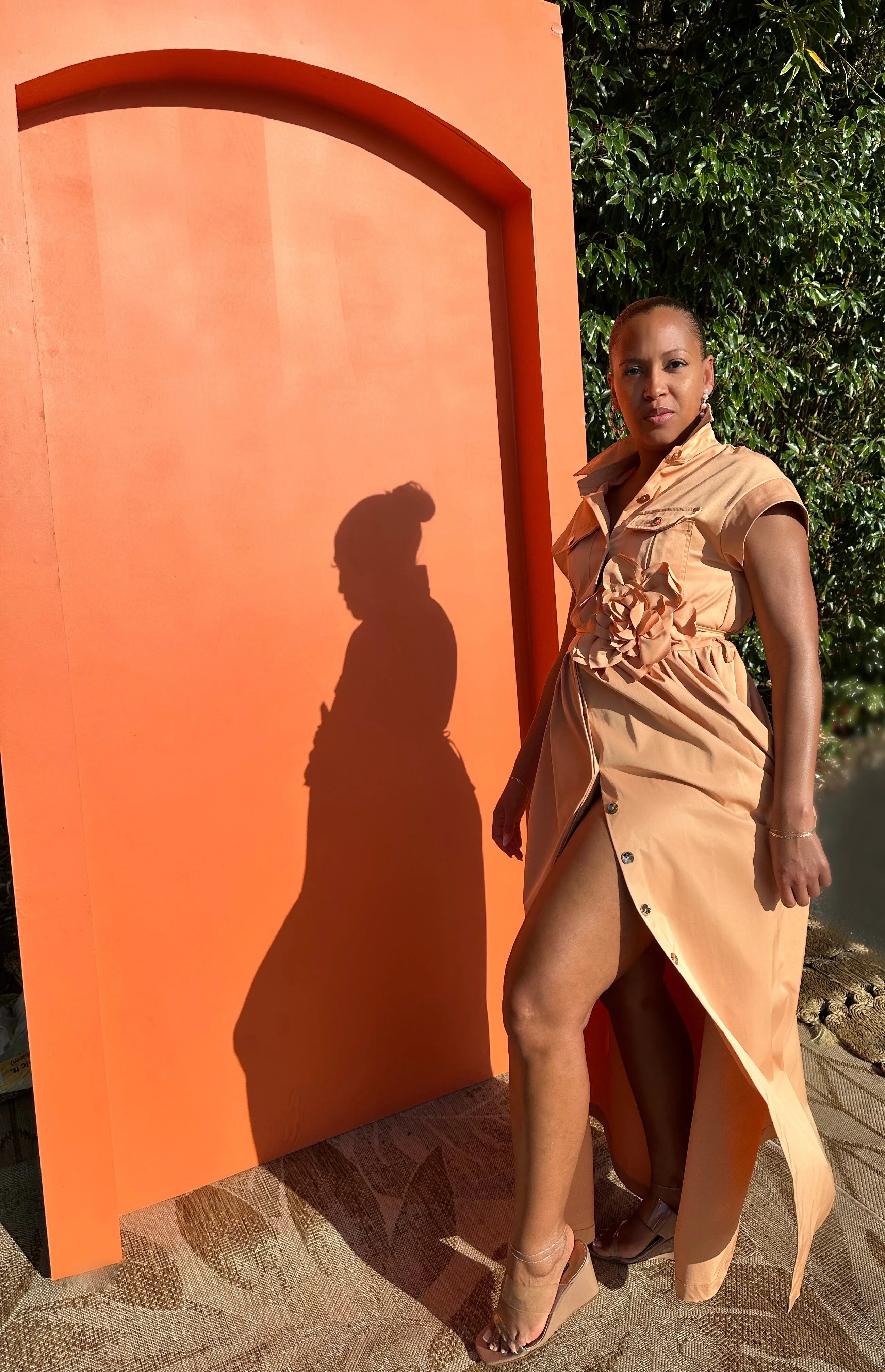That Peach Dress NEW