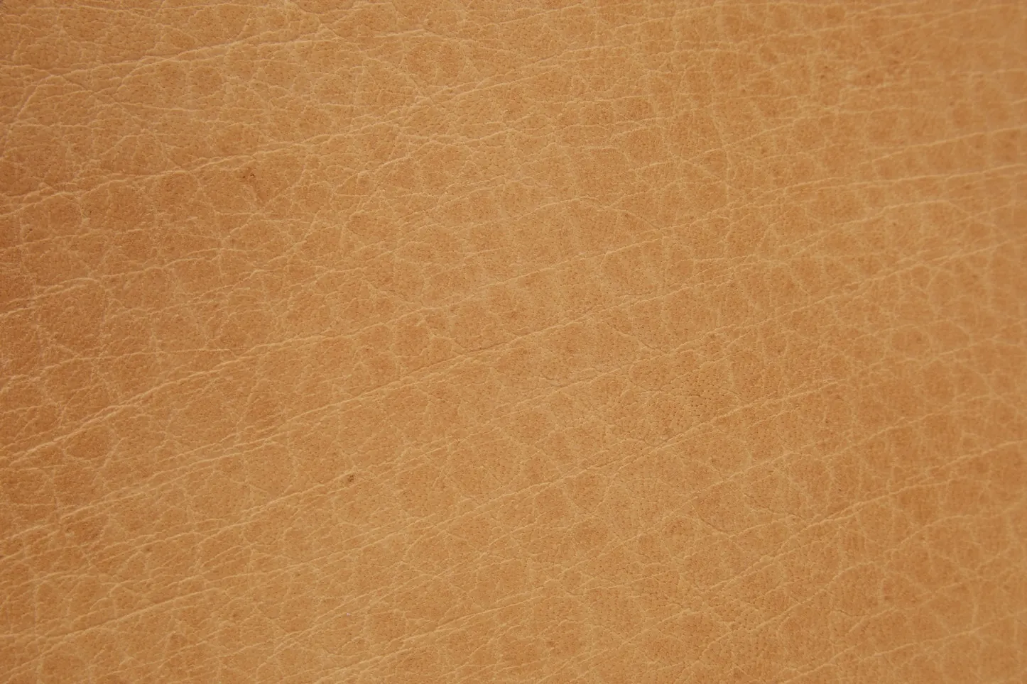 Tula Chair