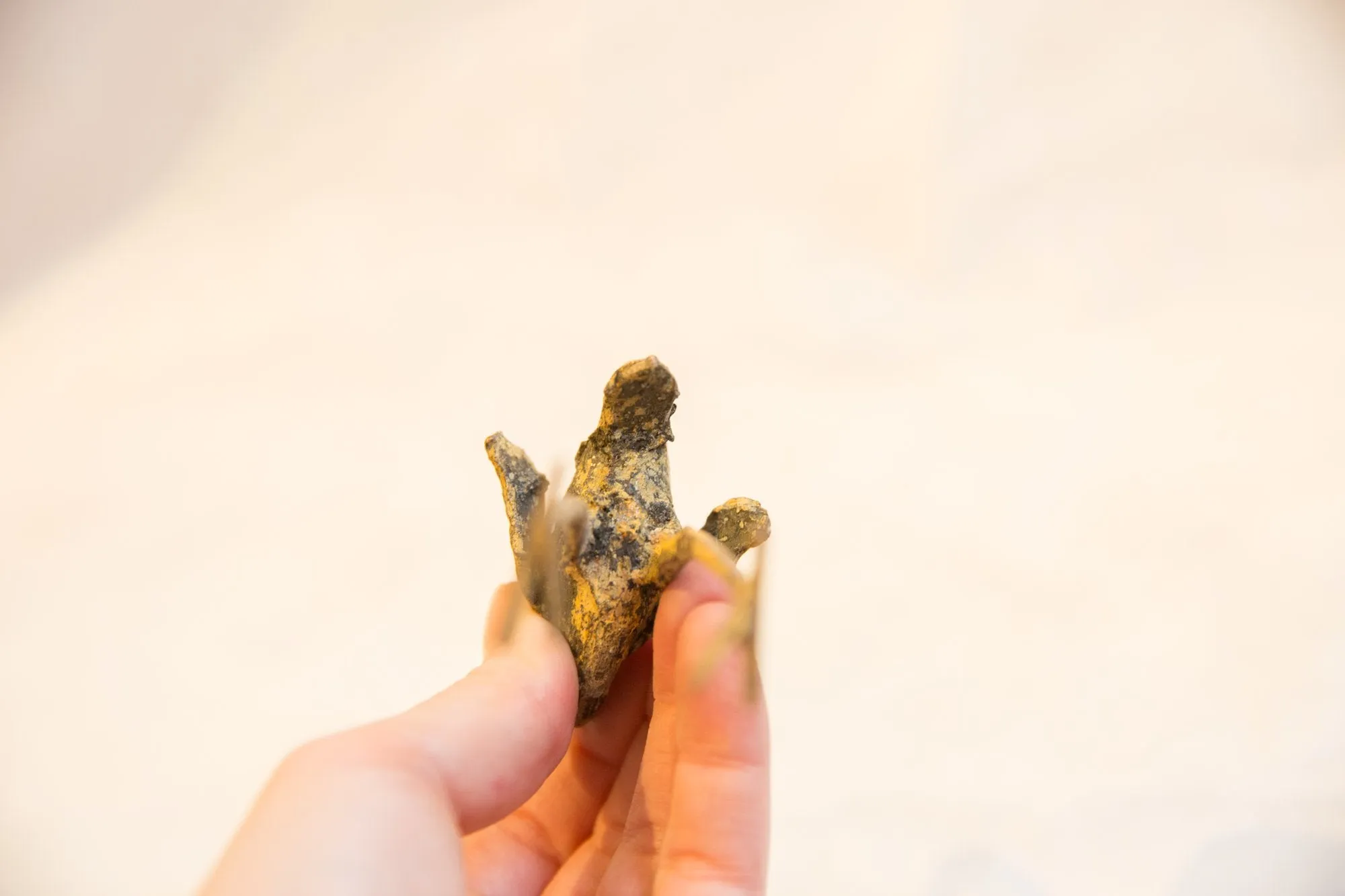 Vintage African Light Patina Bronze Ostrich