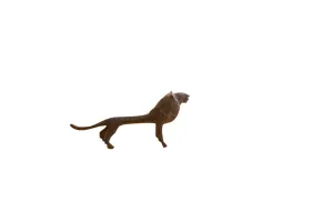 Vintage African Lion with Dark Patina